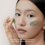 Arencia Green Tea + LHA Deep Pore Rice Cake Cleanser Arencia