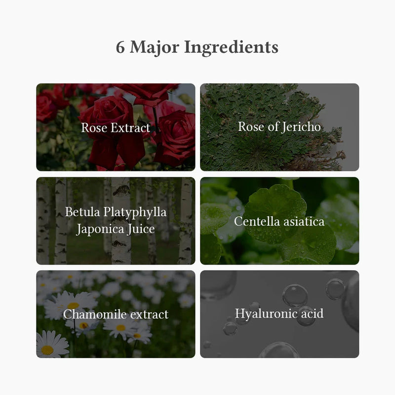 Dr.Althea Oasis Soothing Mask Dr.Althea