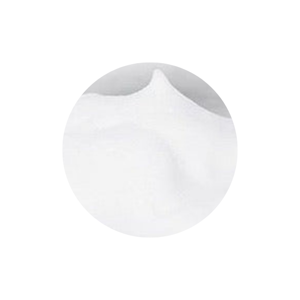 Pyunkang Yul Cleansing Foam PYUNKANG YUL