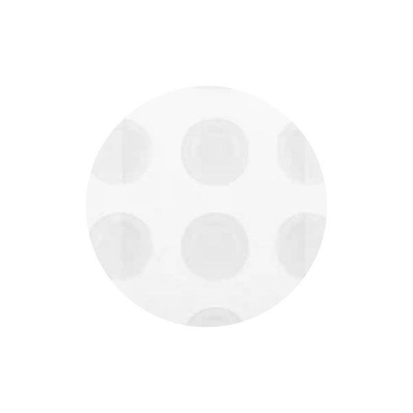 VT COSMETICS VT Pro Cica Centella Asiatica Tiger Clear Spot Patch VT COSMETICS