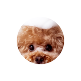 WEBUTLERS BB Fluffy Fluffy Mild Pet Shampoo Webutlers