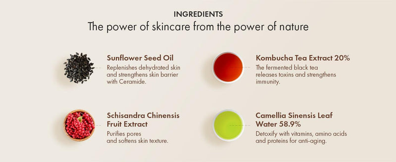Dr.Ceuracle VEGAN KOMBUCHA TEA ESSENCE Dr.Ceuracle