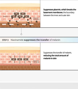 VT COSMETICS TX-TONING CREAM VT COSMETICS