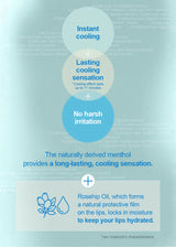 fwee 4D Voluming plumper fwee