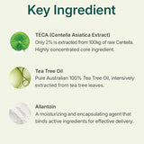 Centellian24 Madeca Powder Tea Tree AC (6g) Centellian24