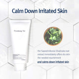 Pyunkang Yul Cleansing Foam PYUNKANG YUL