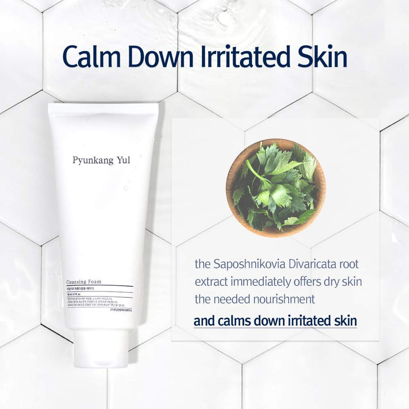 Pyunkang Yul Cleansing Foam PYUNKANG YUL