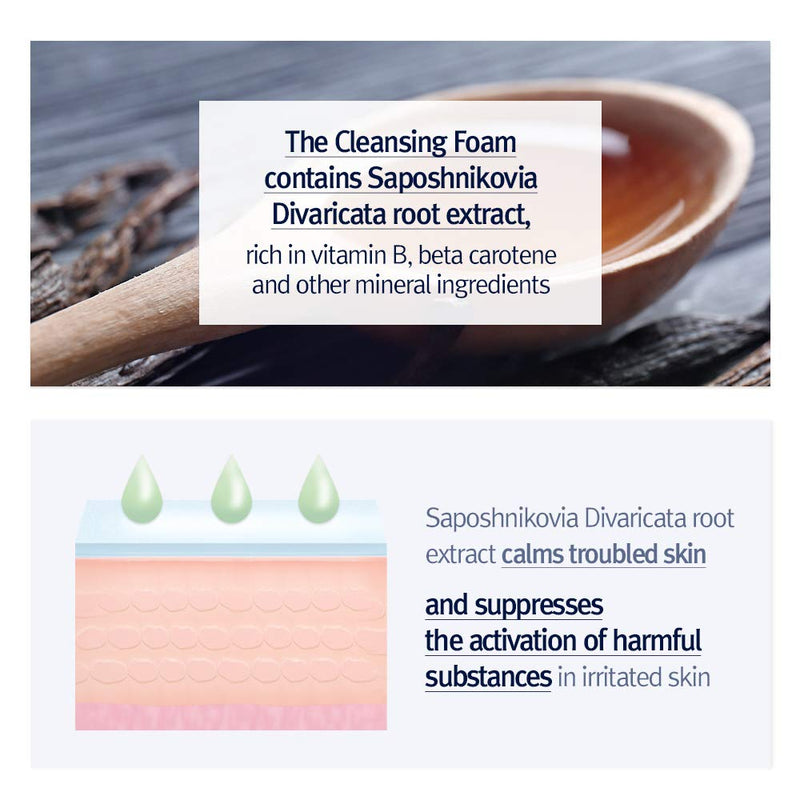 Pyunkang Yul Cleansing Foam PYUNKANG YUL