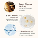 Centellian24 PDRN Firming Boosting Ampoule Centellian24