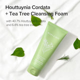 Mary&May Houttuynia Cordata + Tea Tree Cleansing Foam MARY&MAY