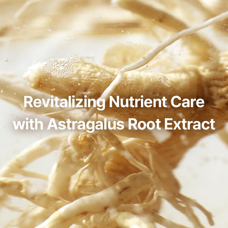 Pyunkang Yul Basic Line Gift Set PYUNKANG YUL