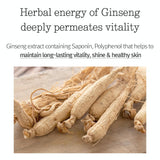 Pyunkang Yul Concentrated Eye Cream STORE K BEAUTY