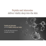 Pyunkang Yul Black Tea Enriched Cream PYUNKANG YUL