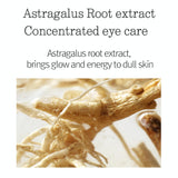 Pyunkang Yul Concentrated Eye Cream STORE K BEAUTY