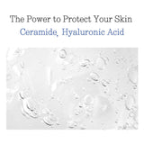 Pyunkang Yul Essence Toner Pad PYUNKANG YUL