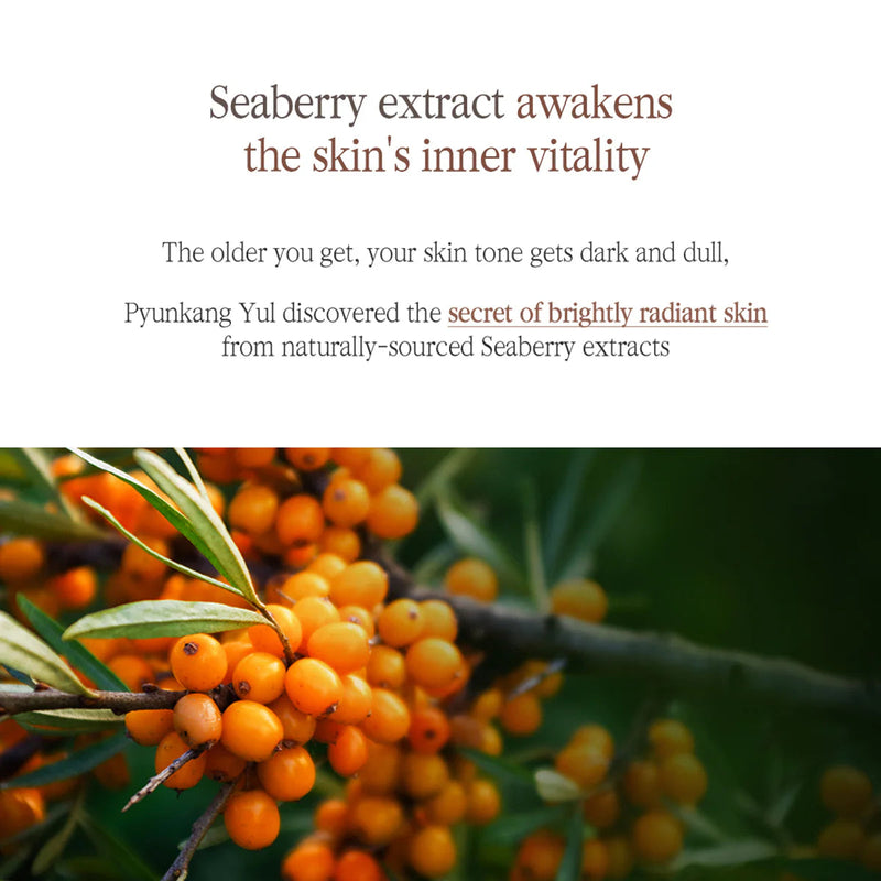 Pyunkang Yul Black Tea Enriched Cream PYUNKANG YUL