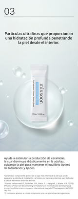mixsoon Niacinamide Powder Stick (0.1g * 10ea) MIXSOON