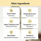 Abib Jericho Rose Créme Nutrition Tube Abib