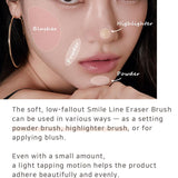 THE TOOL LAB 163 MEDIUM BLUSHER THE TOOL LAB